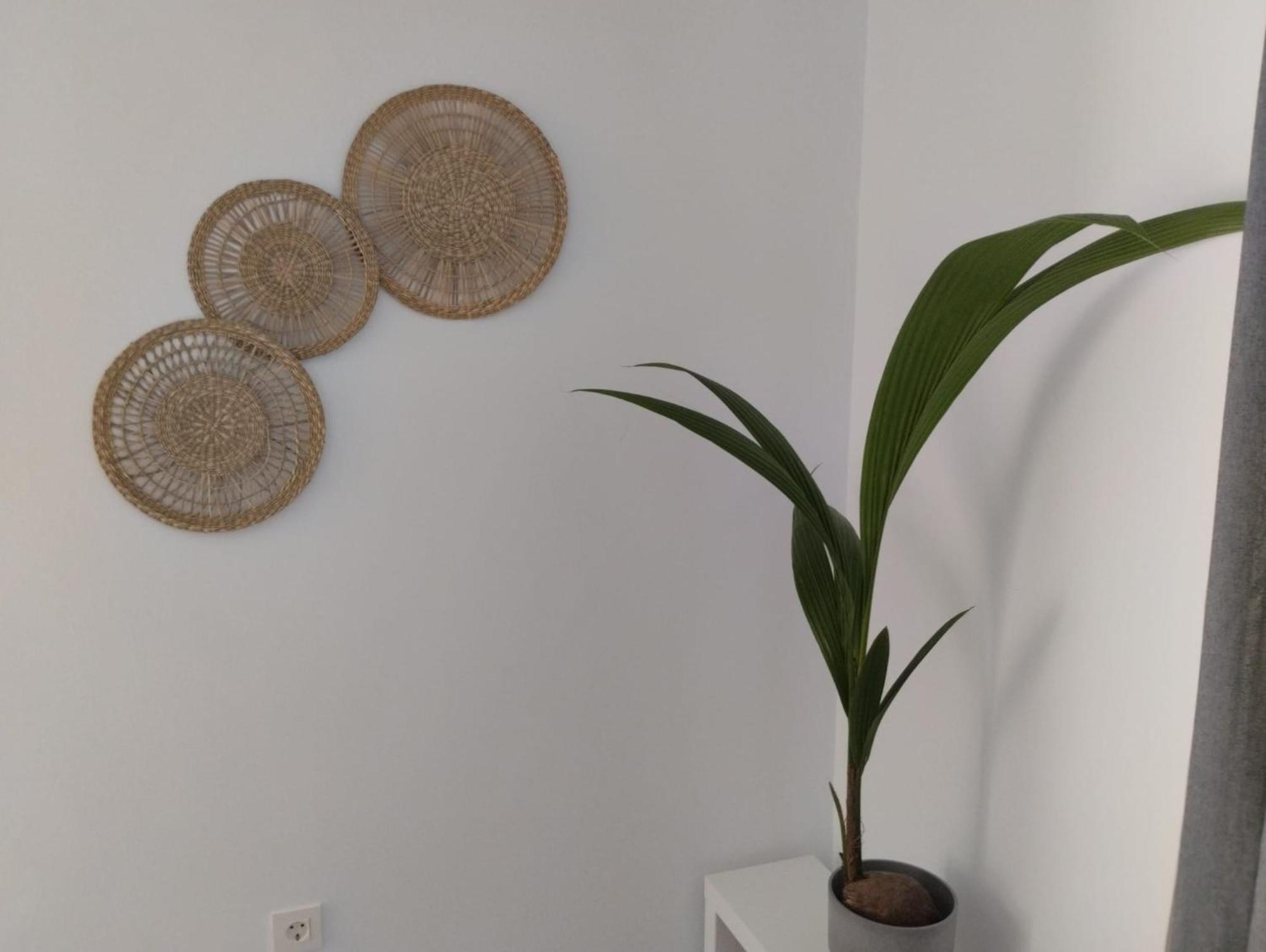 Apartamento Sun Gate جيريز المظهر الخارجي الصورة